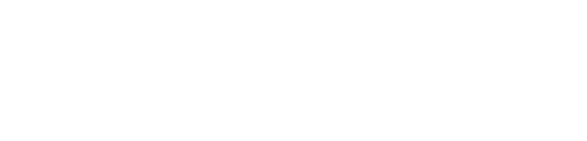 AUCpremium Online Dil Eğitimi
